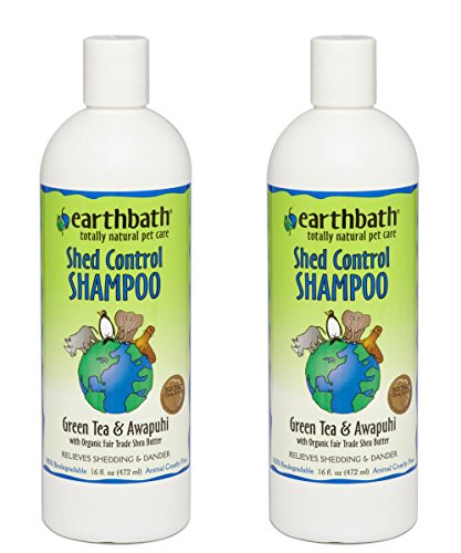 Earthbath All Natural Green Tea Shampoo Shed Control for Pets Dogs Cats (2 Pack), 16 oz
