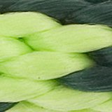 Mendota Products Slip Lead,  1/2" X 6', Green/Lime, Dogs