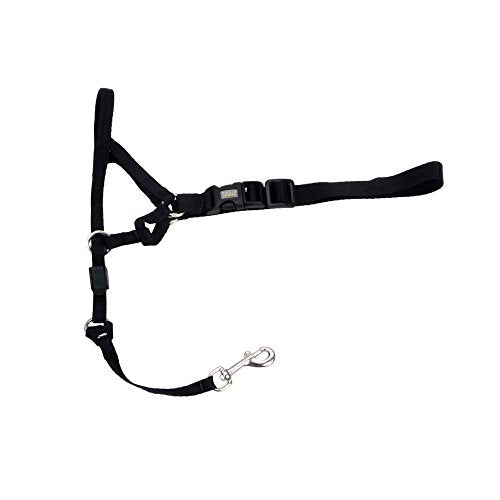 Holt Head Collar Black Size 2