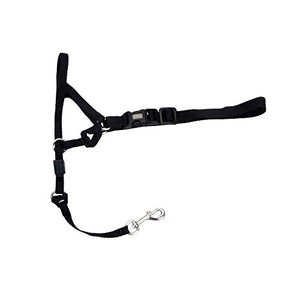 Holt Head Collar Black Size 2