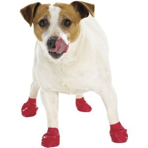 Dog Boots Disposable, Reusable, Waterproof Pawz Set of 12 Color:Red Size:Small Pack of 2