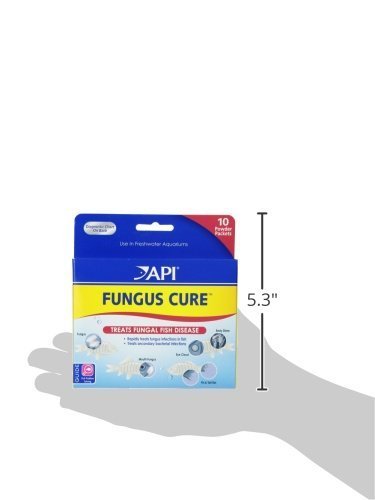 API Fungus Cure Powder 2 Packs of 10