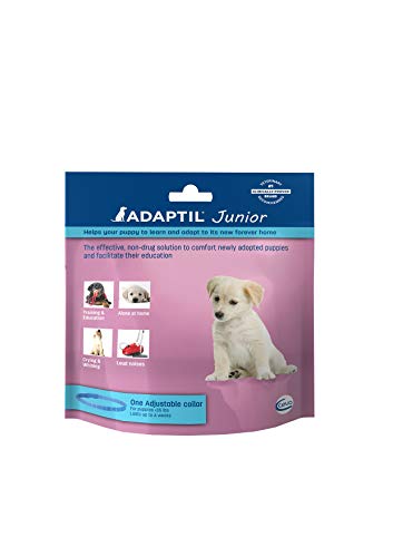 Adaptil Junior Collar for Puppies (<35 lbs) - Constant Calming and Comfort Everywhere