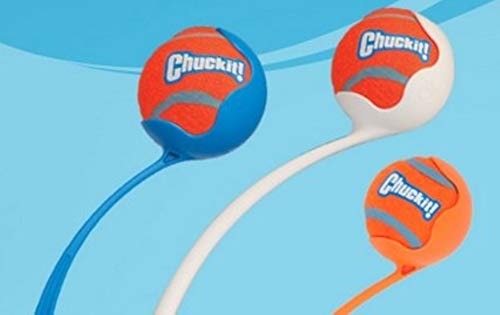 ChuckIt! Tennis Ball, Medium (2.5 Inch) 4 Pack