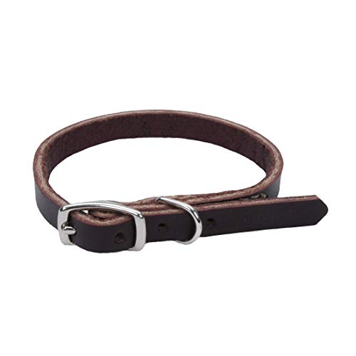 Coastal Pet Products DCP210312 Leather Latigo Dog Collar, 3/8 by 12-Inch