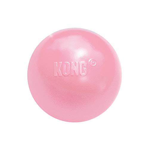 KONG - Puppy Ball - Soft Rubber, Dog Fetch Toy for Teething Pups - For Medium/Large Puppies (Includes One Toy, Color May Vary)