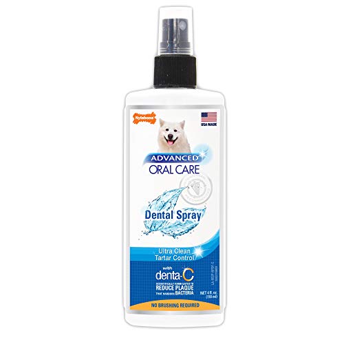 Nylabone Advanced Oral Care 4 oz Dog Dental Spray