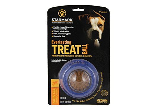 StarMark Everlasting Treat Ball, Medium - 2 Pack