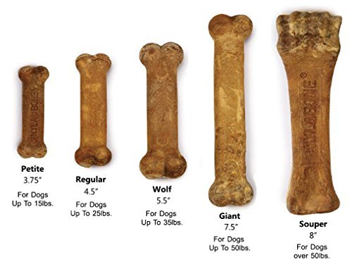 Nylabone Healthy Edibles Petite Bacon Flavored Dog Treats