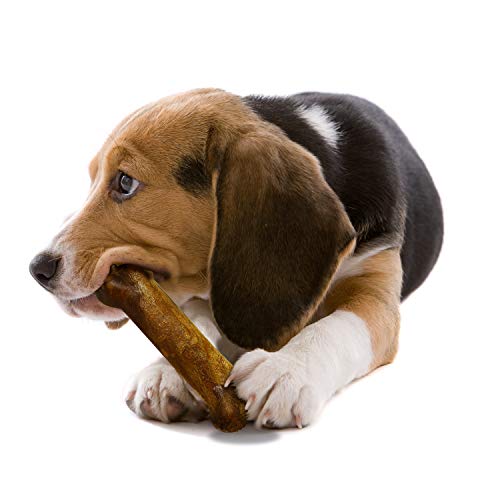 Nylabone Healthy Edibles Roast Beef Flavored Dog Treats | All Natural Grain Free Dog Treats Made In the USA Only | Small and Large Dog Chew Treats | 2 Count