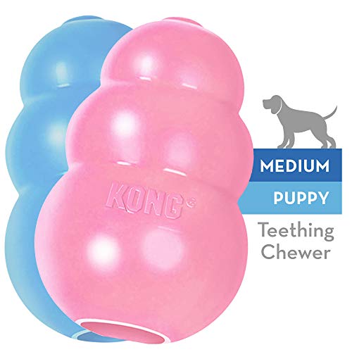 KONG - Puppy Toy - Natural Teething Rubber - Fun to Chew, Chase and Fetch ( Colors May Vary)