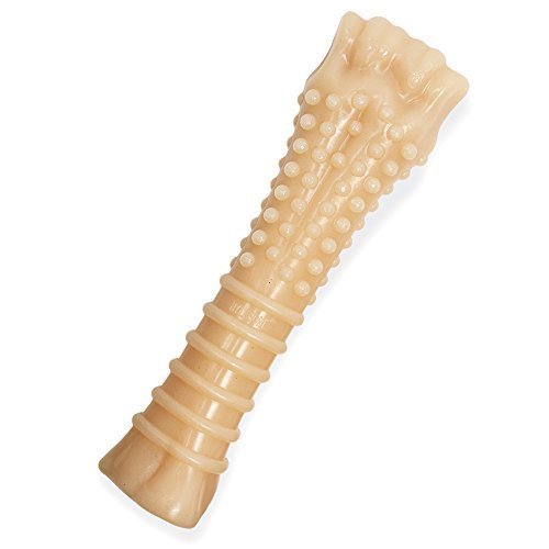 Nylabone Dura Chew Textured Toy, Original Bone, 2 Pack