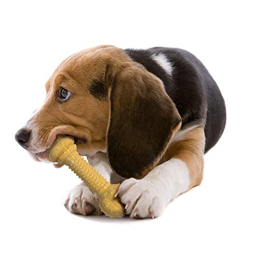 Nylabone Power Chew DuraChew Peanut Butter Dog Chew Toy, Medium