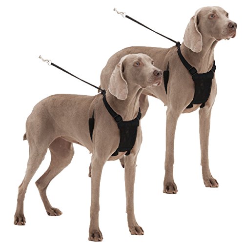 Sporn Dog Harness - No pull and No choke humane Design, Non Pulling Pet Harness with Mesh vest, Easy Step-in Adjustable Mesh Harness for control, Patented Dog Pull Control Technology (2 Pack)