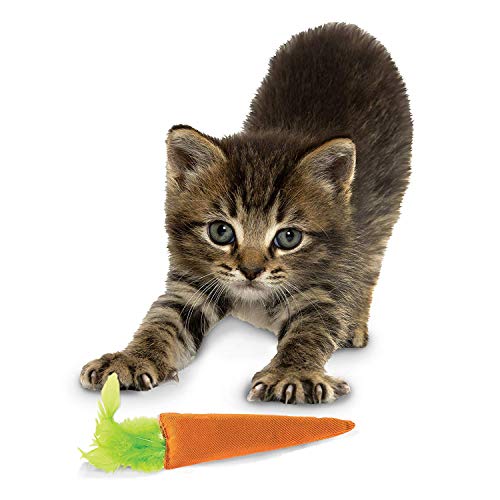 Our Pets 100-Percent Premium North- American Grown Cosmic Catnip Cat Toy, 24 Karat - 2 Pack