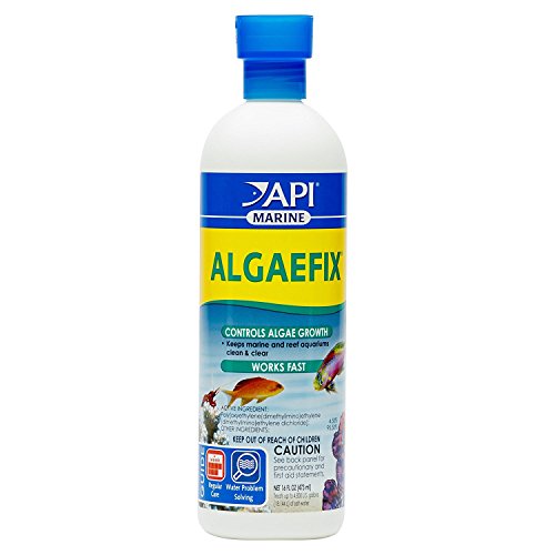 API MARINE ALGAEFIX Algae Control Solution 16-Ounce Bottle