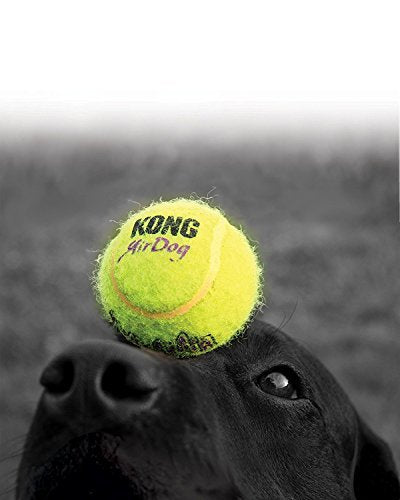 KONG Air Dog Squeakair Tennis Ball Dog Toy, Large, Yellow (2 Pack)