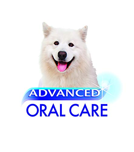 Nylabone Advanced Oral Care Dog Finger Brush, 2 pack