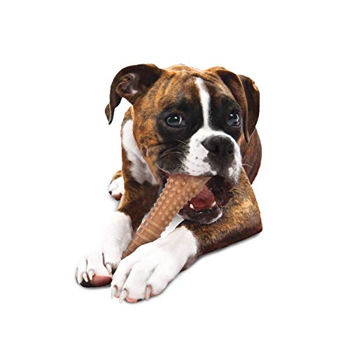 Nylabone Dura Chew Textured Toy, X-Large - Bacon Flavored Bone ( Standard Packaging )