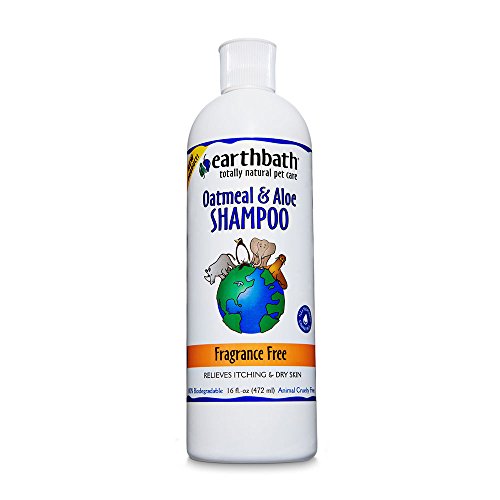 Earthbath Oatmeal and Aloe Shampoo (2 Pack), 16 oz