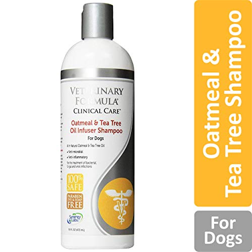 Veterinary Formula Clinical Care Oatmeal and Tea Tree Oil Infuser Shampoo for Dogs Â Fast-Acting, Gentle, 100% Safe Medicated Shampoo to Treat Fungal, Bacterial and Viral Skin Infections in Dogs, 16oz