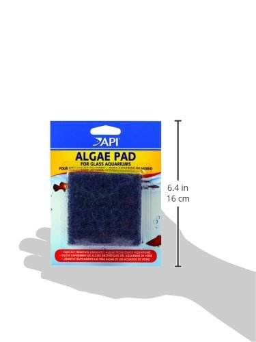 API HAND HELD ALGAE PAD For Glass Aquariums 2-Count Container