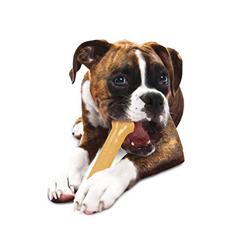 Nylabone Classic Power Chew Flavored Durable Dog Chew Toy, Original, 1 Count, Giant
