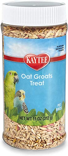 Kaytee Forti-Diet Pro Health Oat Groats Bird Treat