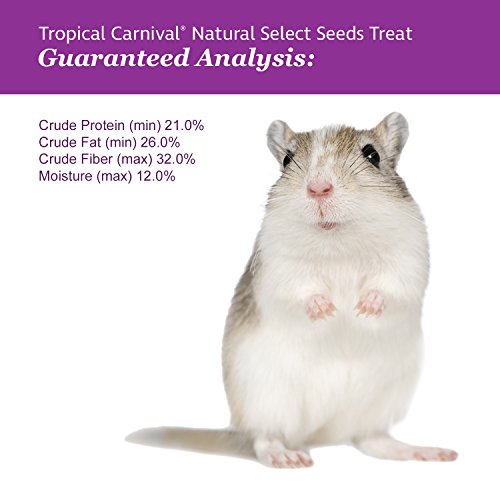 F.M. Brown's Tropical Carnival Natural Select Seeds Treat, 3.5-oz Bag - Natural Fiber, Antioxidants, and Essential Minerals for Hamsters, Gerbils, Rats, and Mice