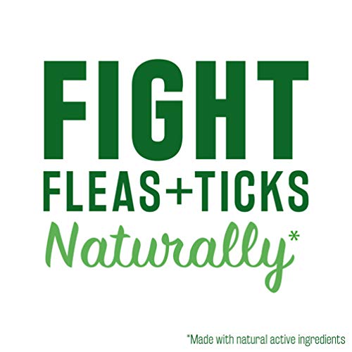 TropiClean Natural Flea and Tick Shampoo For Dogs and Puppies, With Natural Maximun Strength Formula, Effectively Repels Fleas and Ticks, Safe to Use On Dogs 12 Weeks and Older, 20 oz.