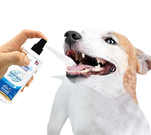 Nylabone Advanced Oral Care 4 oz Dog Dental Spray