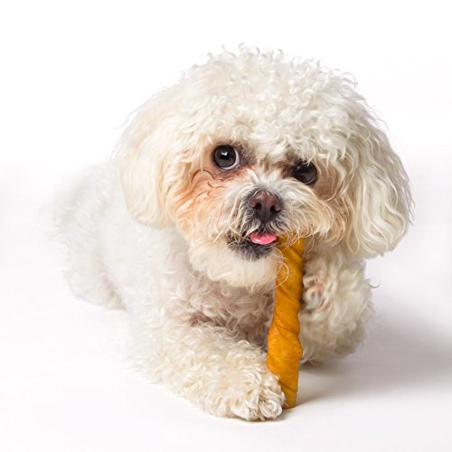 Hartz Oinkies Natural Smoked Pig Skin Twist Peanut Butter Stuffed Dog Treat Chews - 5 Pack