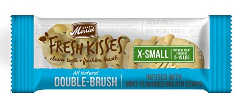 Fresh Kisses Mint Breath Strips Extra Small Brush - Single Serve Box (40 Ct)