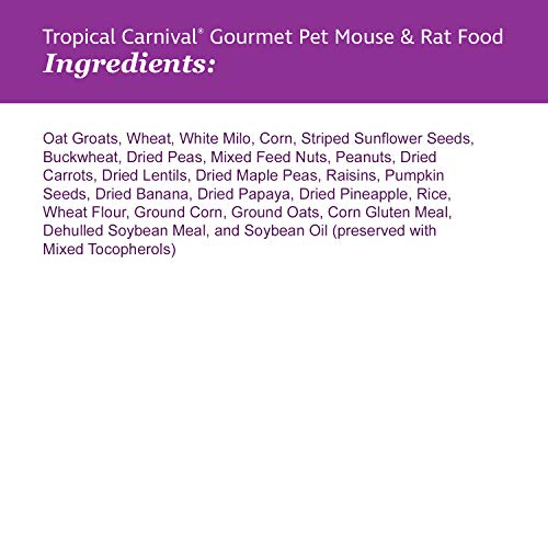 F.M. Brown's Tropical Carnival Gourmet Pet Mouse and Rat Food with Fruits, 2-lb Bag - Veggies, Seeds, and Grains, Vitamin-Nutrient Fortified Daily Diet