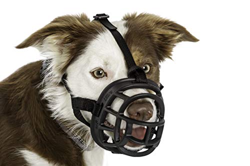 Baskerville Ultra Muzzle, dog muzzle to prevent biting and chewing, humane dog muzzle for extra large dogs, ideal for akita, bull mastiff, great dane, saint bernard, Newfoundland dogs, and more, Black