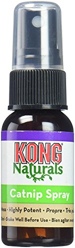Kong Natural Catnip Spray