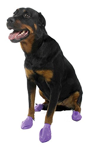 Pawz Purple Water-Proof Dog Boots, Large, Paws 3" to 4"(12 Disposable-reusable Boots)