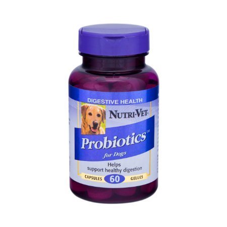 Nutri-Vet Probiotics Capsules, 120 Count