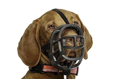 Baskerville Ultra Muzzle, dog muzzle to prevent biting and chewing, humane dog muzzle for large dogs, ideal for pit bulls, boxers, german shepherd, doberman, golden retriever, labrador retriever and more, Black