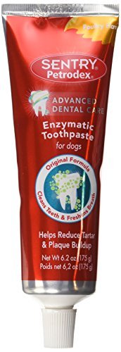 Petrodex Enzymatic Toothpaste Dog Poultry Flavor FamilyValue 2Pack (6.2oz)