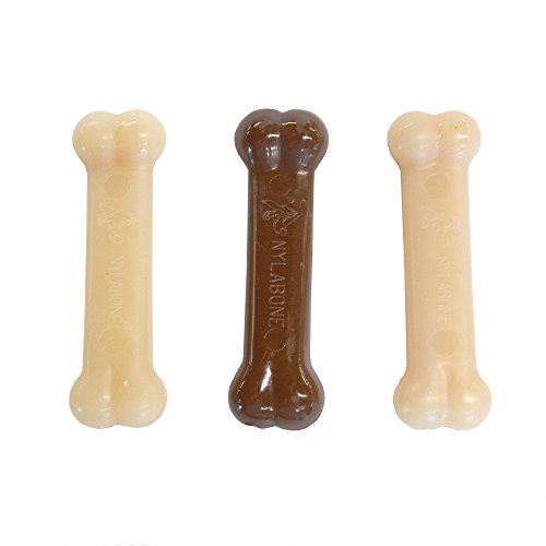 Nylabone Power Chew DuraChew Chocolate Bone Chew Toy Value Pack, Small