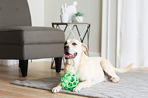 JW Hol-ee Roller Original Treat Dispensing Dog Ball - Hard Natural Rubber - Assorted Colors