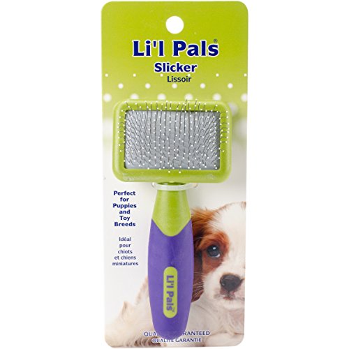 Li'l Pals Dog Slicker Brush with Coated Pins - W6202