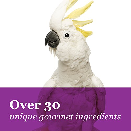 F.M. Brown's Tropical Carnival Gourmet Macaw Food Big Bites for Big Beaks, 14-lb Bag - Vitamin-Nutrient Fortified Daily Diet with Probiotics for Digestive Health
