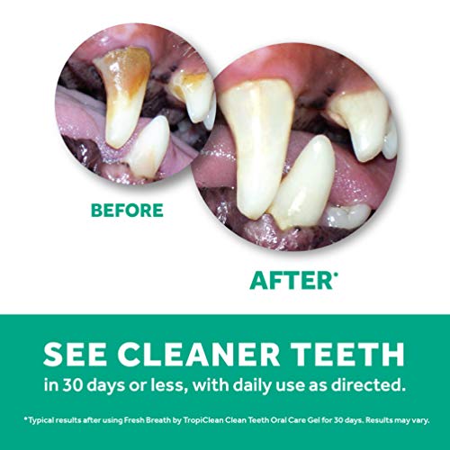Fresh Breath by TropiClean Clean Teeth Oral Care Gel
