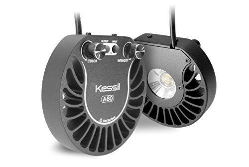 Kessil Tuna Blue A80 LED Light KSA80-TB