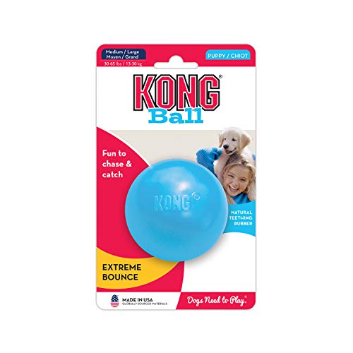 KONG - Puppy Ball - Soft Rubber, Dog Fetch Toy for Teething Pups - For Medium/Large Puppies (Includes One Toy, Color May Vary)