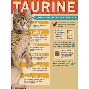 CATMANDOO Bonito Flakes Pet Treat, X-Large 2pk