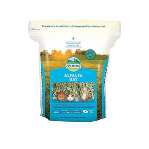 Oxbow Animal Health Alfalfa Hay for Pets, 30-Ounce