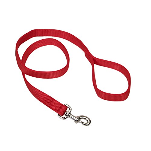 Coastal Pet Double-Ply Nylon Dog Leash, Red Color | 1" Wide by 6-Feet Long |